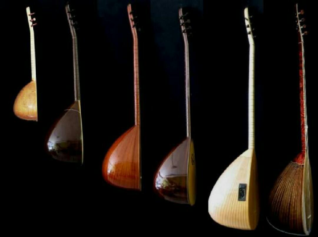 انواع ساز باغلاما