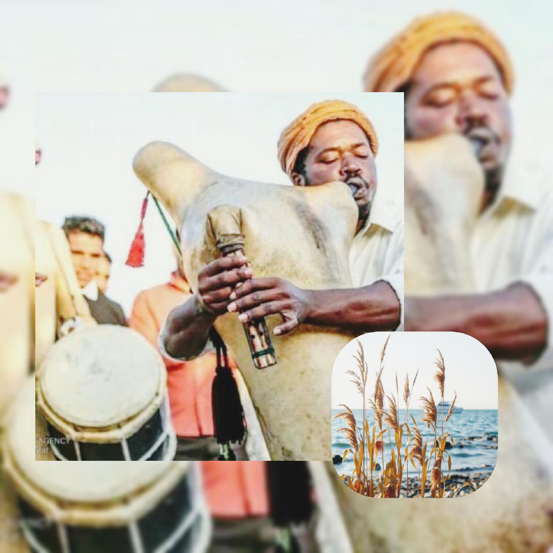 نی انبان 2024